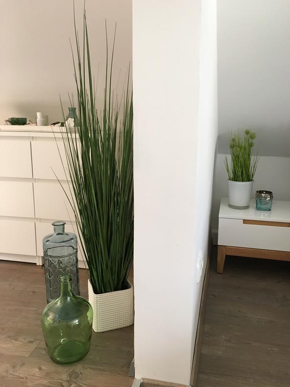 מיינץ Ferienhaus Zur Mainpforte מראה חיצוני תמונה