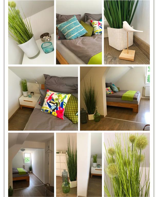 מיינץ Ferienhaus Zur Mainpforte מראה חיצוני תמונה